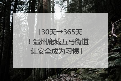 30天→365天！温州鹿城五马街道让安全成为习惯