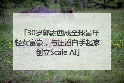 30岁郭露西成全球最年轻女富豪，与汪滔白手起家创立Scale AI