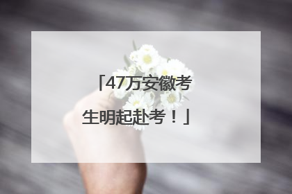 47万安徽考生明起赴考！