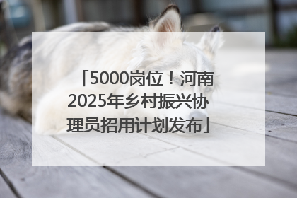 5000岗位！河南2025年乡村振兴协理员招用计划发布