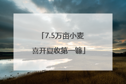 7.5万亩小麦喜开夏收第一镰