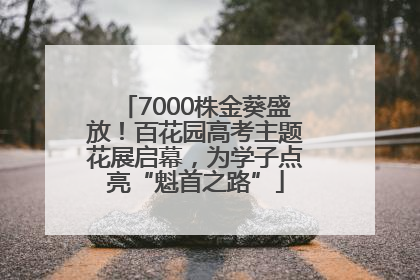 7000株金葵盛放！百花园高考主题花展启幕，为学子点亮“魁首之路”