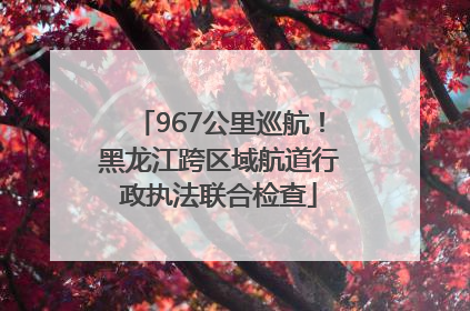 967公里巡航！黑龙江跨区域航道行政执法联合检查