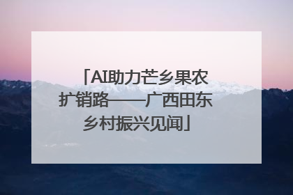 AI助力芒乡果农扩销路——广西田东乡村振兴见闻