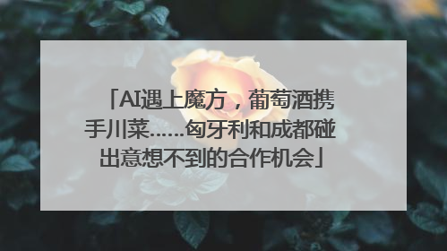 AI遇上魔方，葡萄酒携手川菜……匈牙利和成都碰出意想不到的合作机会