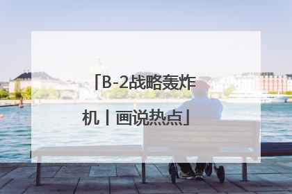 B-2战略轰炸机丨画说热点